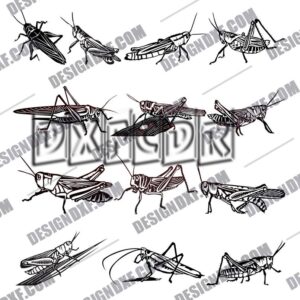 Grasshopper DXF Files