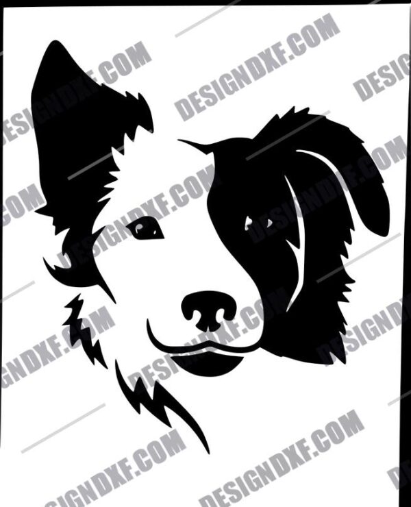 "Exquisite Split Face Border Collie DXF"